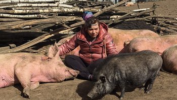 Zbiórka Wesprzyj Życie na Wielkanoc - miniaturka zdjęcia