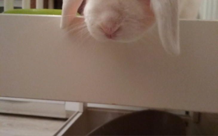 Zbiórka Zbiórka na prezent dla Daniela - zdjęcie główne