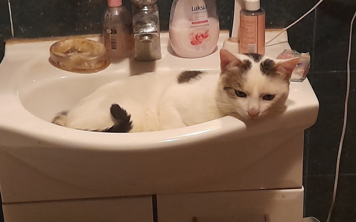 Zbiórka SLODZIAKI NIKOGO NIE OBCHODZa - zdjęcie główne