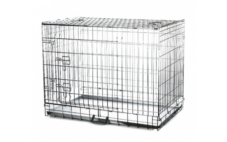 Zbiórka Na zakup klatek i transporterów - zdjęcie główne