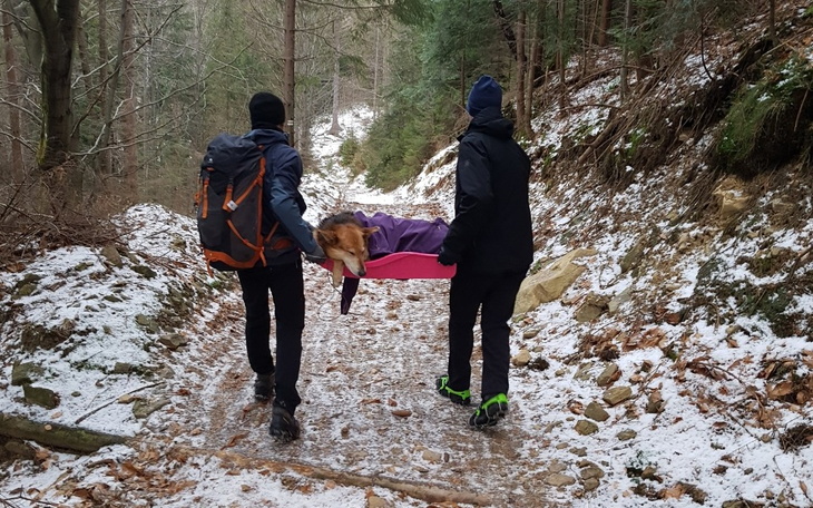 Zbiórka Azorek - Duduś pomagamy - zdjęcie główne
