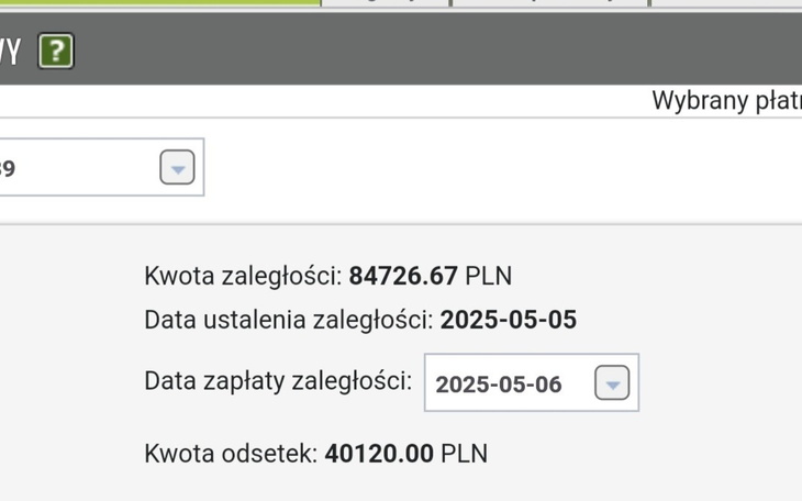 Zrzut ekranu z systemu płatności, pokazujący szczegóły transakcji.