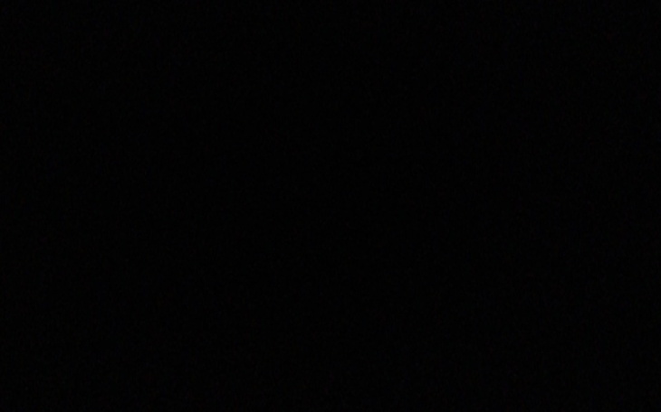 Zbiórka Pomoc na operacje pieska - zdjęcie główne