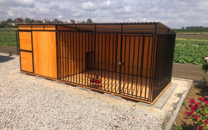 Zbiórka Na kojec dla zagłodzonych psów - zdjęcie główne