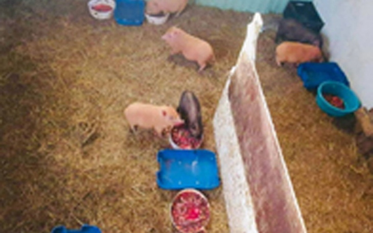 Zbiórka Uratowacć zwierzątka - zdjęcie główne