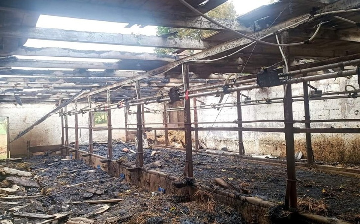 Zbiórka Odbudowa obory - zdjęcie główne