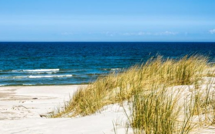 Zbiórka By dzieci mogły zobaczyć morze. - zdjęcie główne