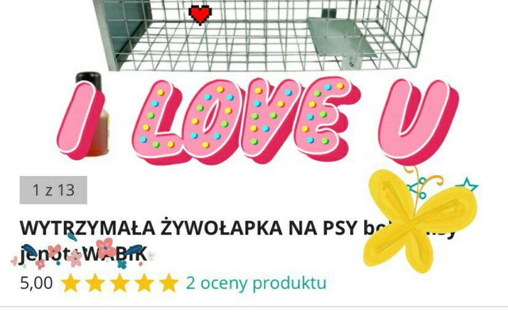 Zbiórka Moje urodzinowe życzenie - zdjęcie główne