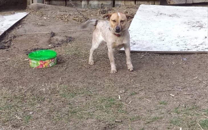 Zbiórka Złamaną noga bezdomniaka - zdjęcie główne