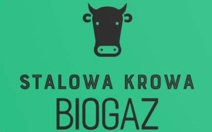 Zbiórka Dom dla Stalowej Krowy - zdjęcie główne