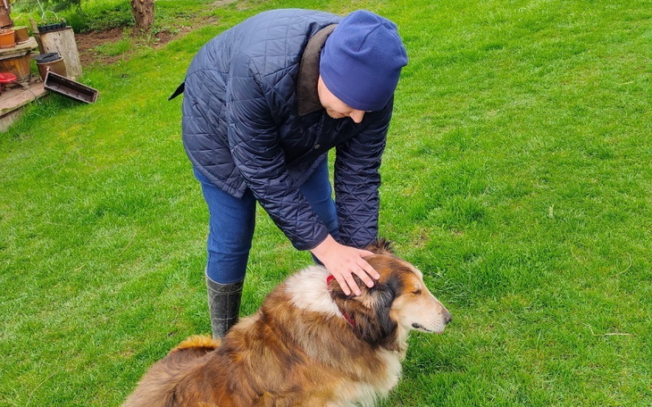 Zbiórka Prośba o pomoc na życie - zdjęcie główne