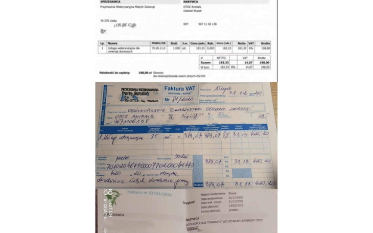 Zbiórka pomagamy opłacić leczenie - zdjęcie główne