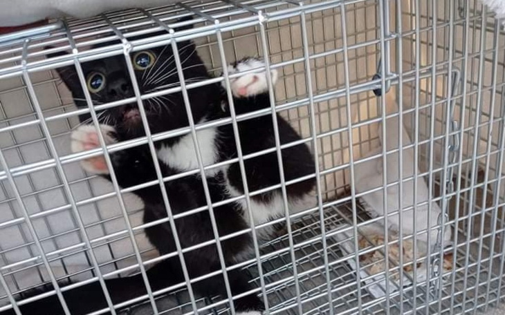 Zbiórka Walczymy z bezdomnością. - zdjęcie główne