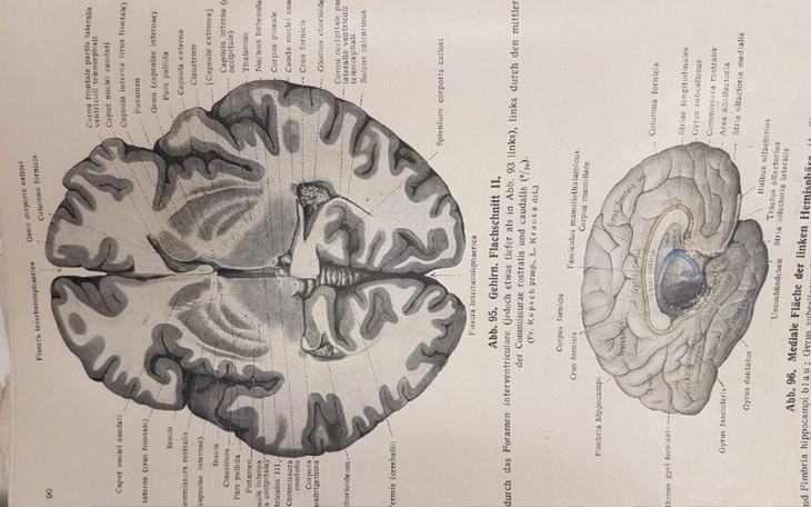 Zbiórka Nagroda pieniężna N17gt - zdjęcie główne