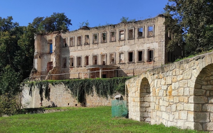 Zbiórka Odbudowa Pałacu w Skale - zdjęcie główne