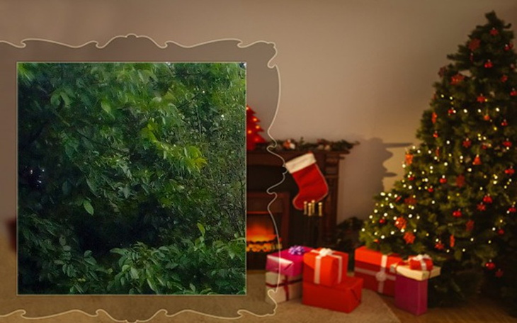 Zbiórka Szczęśliwe marzenie - zdjęcie główne