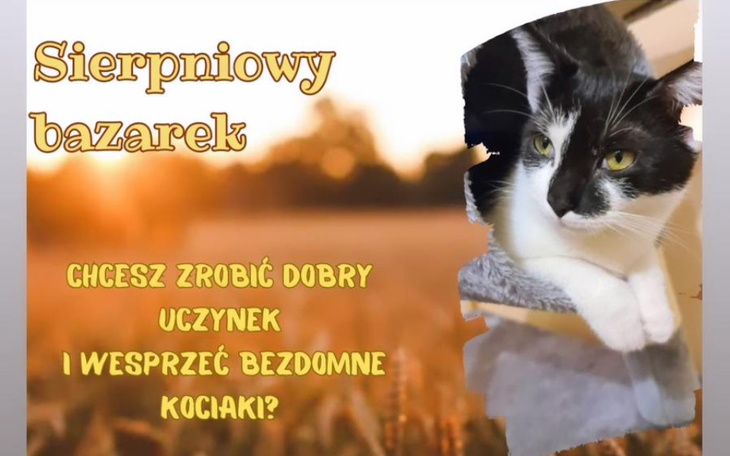 Zbiórka Sierpniowy Bazarek - zdjęcie główne