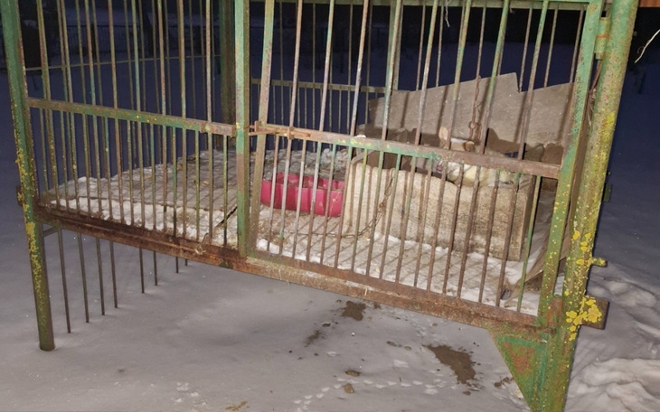 Pusty kojec dla zwierząt, z widocznymi śladami po zwierzętach.