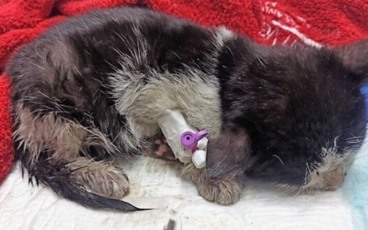 Zbiórka Toniemy w długach.. POMOCY - zdjęcie główne