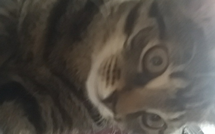 Zbiórka Pomagam..pl - zdjęcie główne