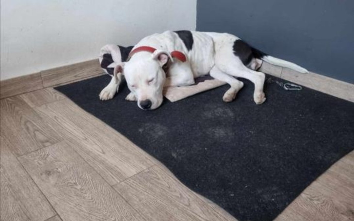 Zbiórka Moje być albo nie być - zdjęcie główne