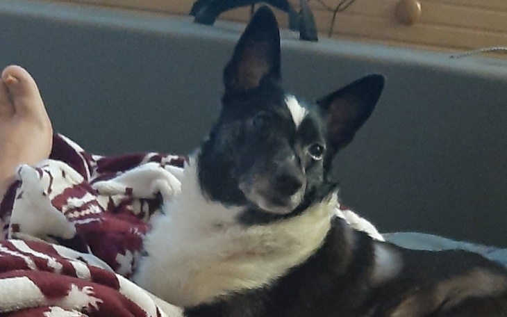 Zbiórka Zbiórka dla Megi - zdjęcie główne