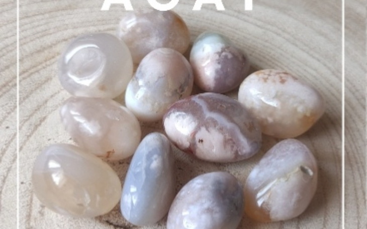 Zbiórka Na towar do sklepu - zdjęcie główne