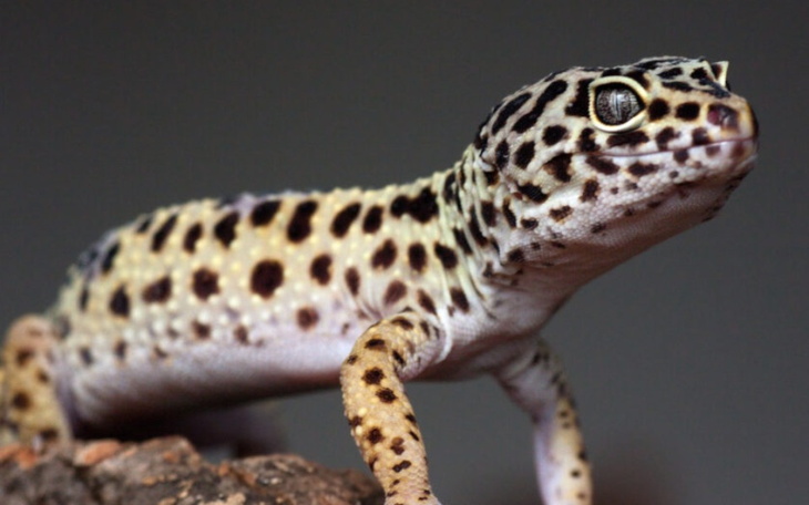 Zbiórka Na rozwój mojego hobby - zdjęcie główne