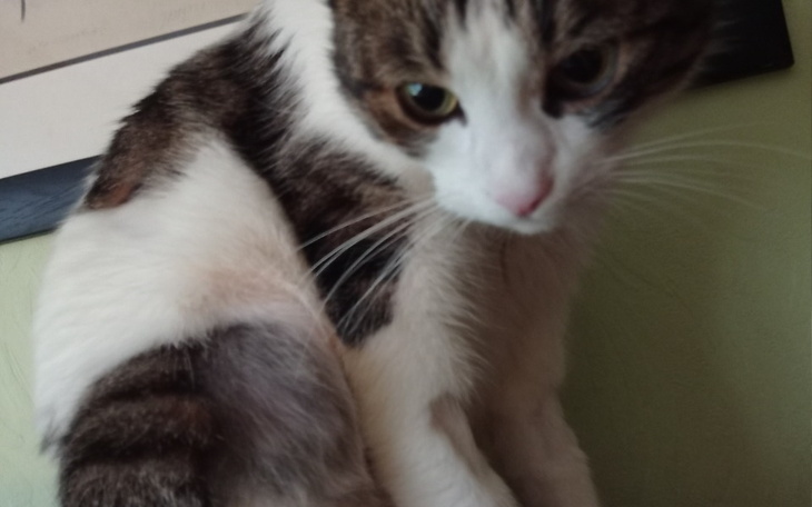 Zbiórka Stefek Moje Wszystko 2 - zdjęcie główne