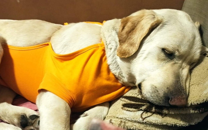 Zbiórka Kolejna ważna prośba o wsparcie - zdjęcie główne