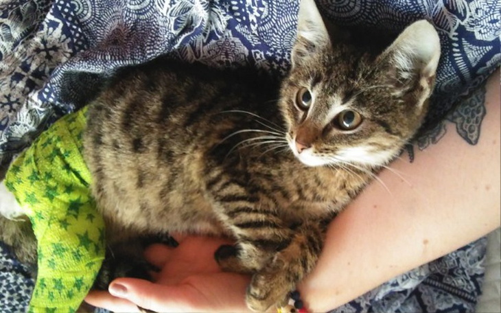 Zbiórka Joszko z chorą nóżką - zdjęcie główne