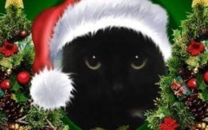 Czarny kot w świątecznym kapeluszu, otoczony zielonymi gałązkami.