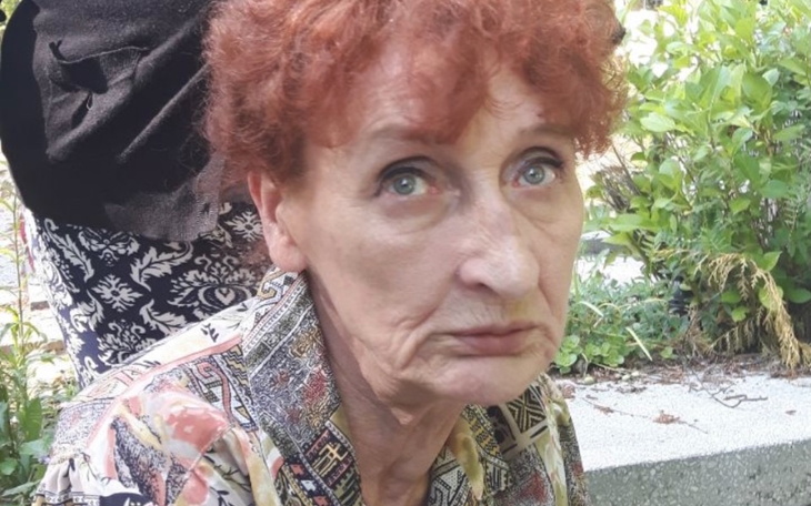 Zbiórka Dla chorej Wiesi - zdjęcie główne