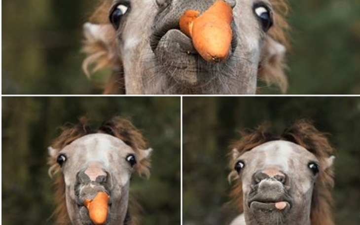 Zbiórka 1 dzień funkcjonowania Korabek - zdjęcie główne