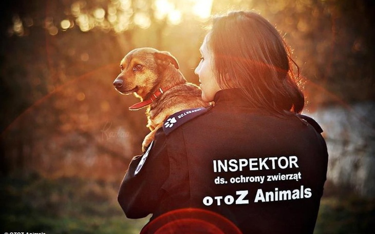 Inspektor ds. ochrony zwierząt trzyma psa na rękach w promieniach słońca.