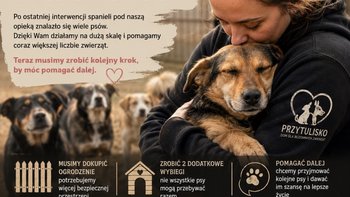 Zbiórka Dwa wybiegi w przytulisku - miniaturka zdjęcia