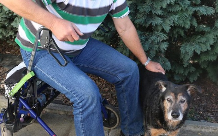 Zbiórka Rower dla p. Jana i psa Aresa - zdjęcie główne