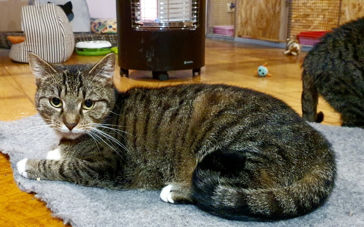 Zbiórka Idzie zima - idą wydatki - zdjęcie główne