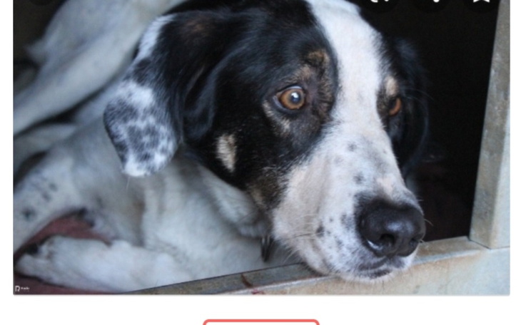 Zbiórka O krok od wolności... - zdjęcie główne