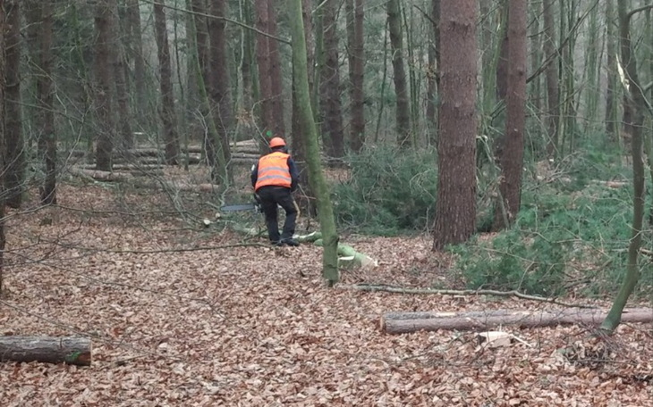 Zbiórka Pomoc jestem naskraju bankructwa - zdjęcie główne