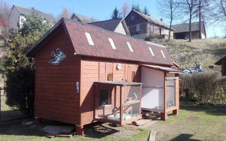 Zbiórka Gołębnik rozpłodowy - zdjęcie główne