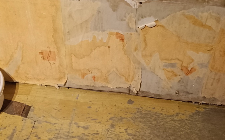 Zniszczona tapeta na ścianie, odsłaniająca uszkodzenia.