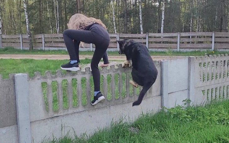 Zbiórka Zmieniamy ogrodzenie. - zdjęcie główne