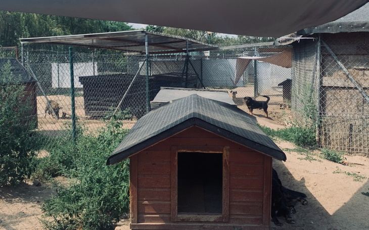 Zbiórka Zróbmy cień w Przyborówku - zdjęcie główne