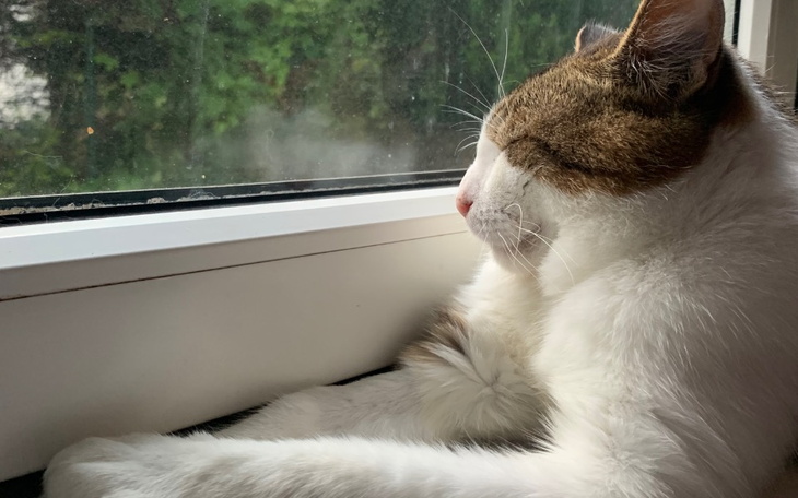 Zbiórka Na dalsze wspólne życie - zdjęcie główne