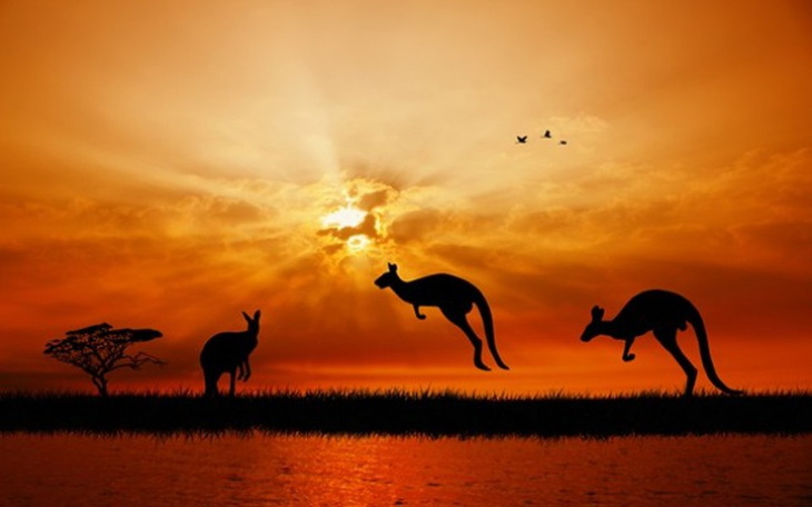 Zbiórka Radość dla mojej Mamy - zdjęcie główne