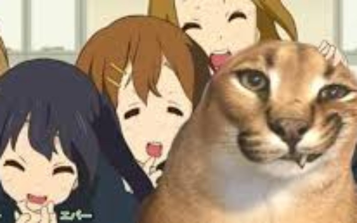 Zbiórka Na Nowy komputer do nauki . - zdjęcie główne