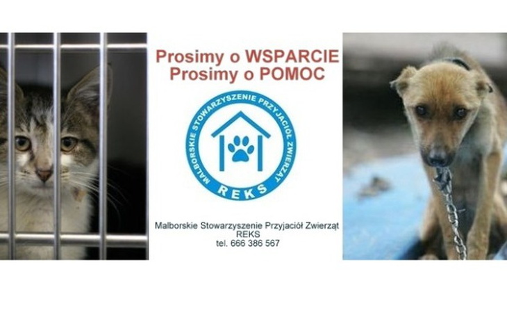 Zbiórka Pilnie potrzebna POMOC dla REKSA - zdjęcie główne