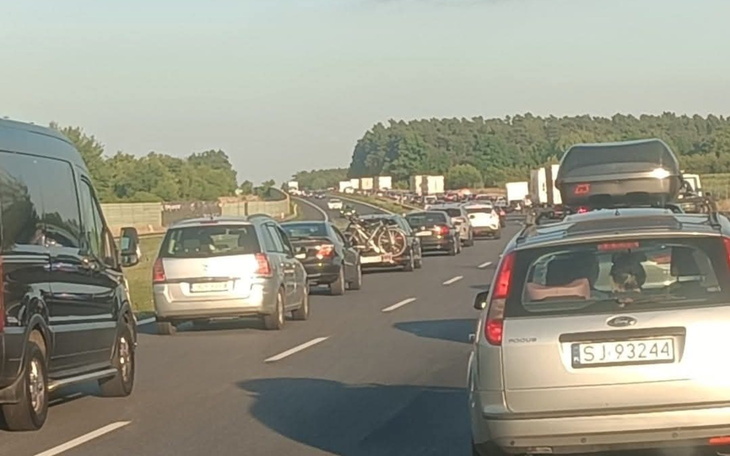 Zatłoczona droga z samochodami w korku, w tle zieleń.