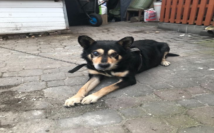 Zbiórka Uratujcie mnie na starość - zdjęcie główne